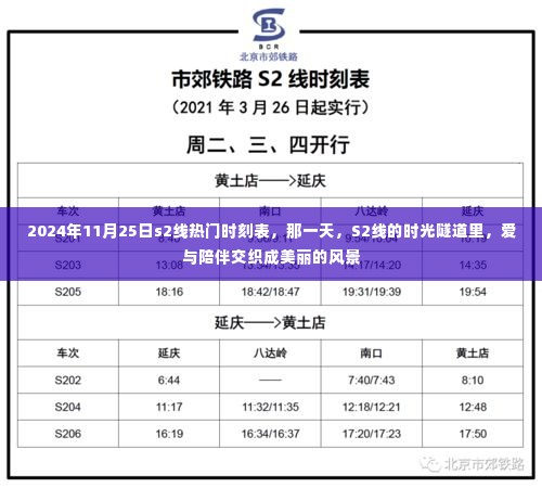 S2线时光隧道,爱与陪伴交织的风景——2024年11月25日热门时刻表