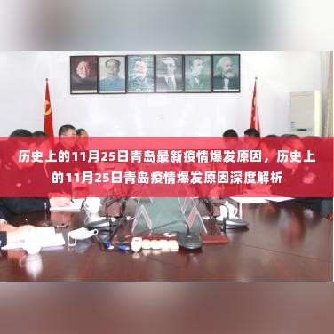 历史上的11月25日青岛疫情爆发原因深度解析与探讨