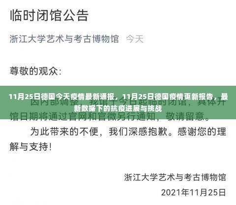 11月25日德国疫情最新通报,抗疫进展、数据更新与挑战