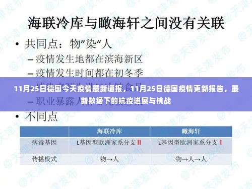 11月25日德国疫情最新通报,抗疫进展、数据更新与挑战