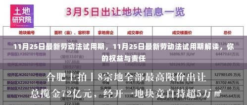 11月25日最新劳动法试用期解读,权益与责任一览