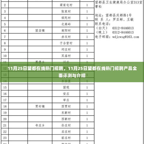 11月25日望都在线热门招聘产品全面评测与介绍