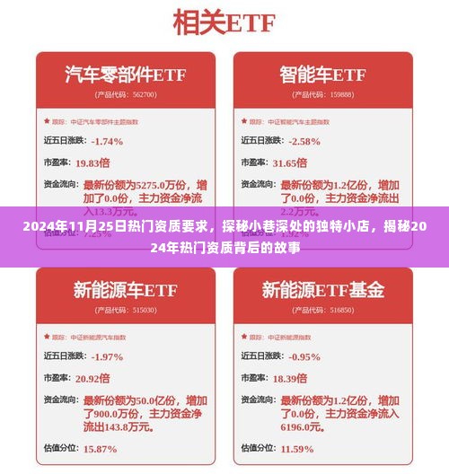 探秘小巷深处的独特小店,揭秘热门资质背后的故事与资质要求(日期,2024年11月25日)