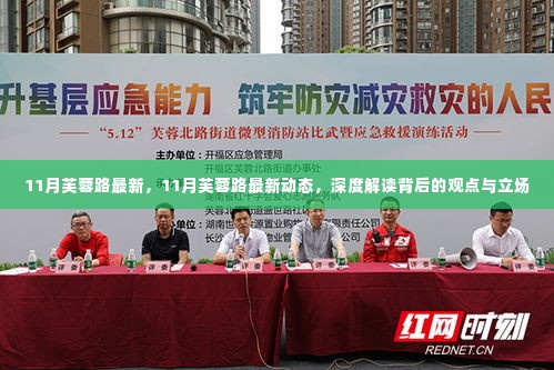 深度解读,11月芙蓉路最新动态与观点立场