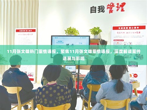 11月张文雄案情深度解读,案件进展与影响聚焦