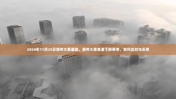郑州大雾笼罩下的反思,应对策略与行动探讨(2024年11月25日最新)