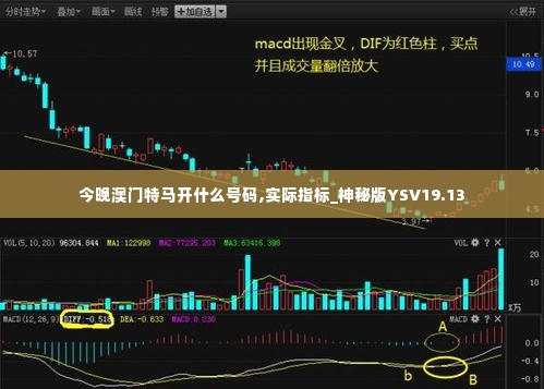 今晚澳门特马开什么号码,实际指标_神秘版YSV19.13