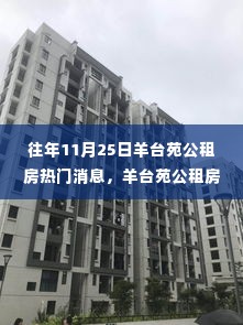 羊台苑公租房十一月温馨邻里,趣事与深厚友情的记录