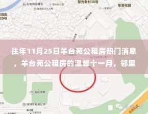 羊台苑公租房十一月温馨邻里,趣事与深厚友情的记录