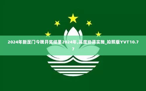 2024年新澳门今晚开奖结果2024年,高度协调实施_拍照版YVT10.77