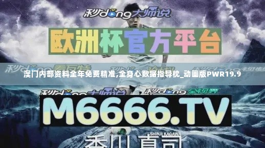 澳门内部资料全年免费精准,全身心数据指导枕_动画版PWR19.9