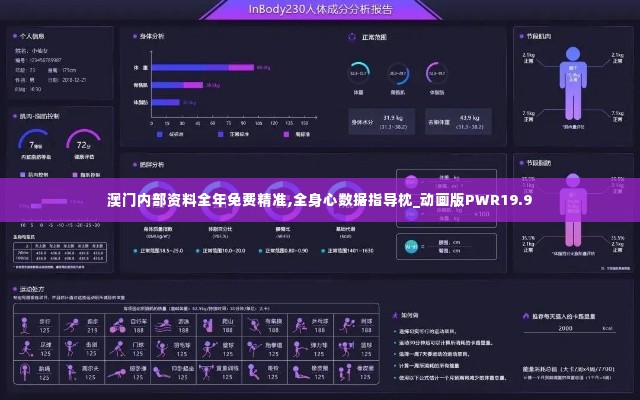 澳门内部资料全年免费精准,全身心数据指导枕_动画版PWR19.9