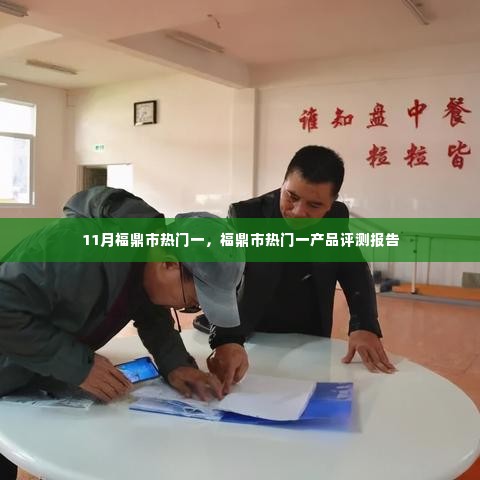 福鼎市热门产品评测报告揭秘,11月热门一产品详解