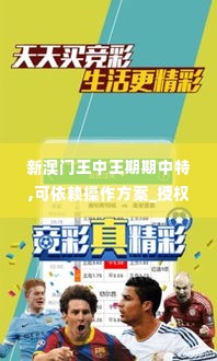 新澳门王中王期期中特,可依赖操作方案_授权版LHQ19.81