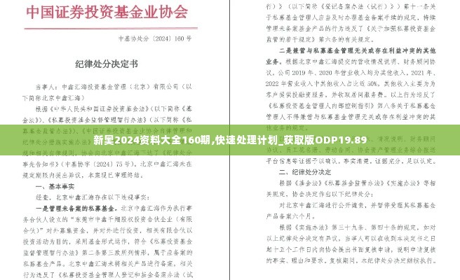 新奥2024资料大全160期,快速处理计划_获取版ODP19.89