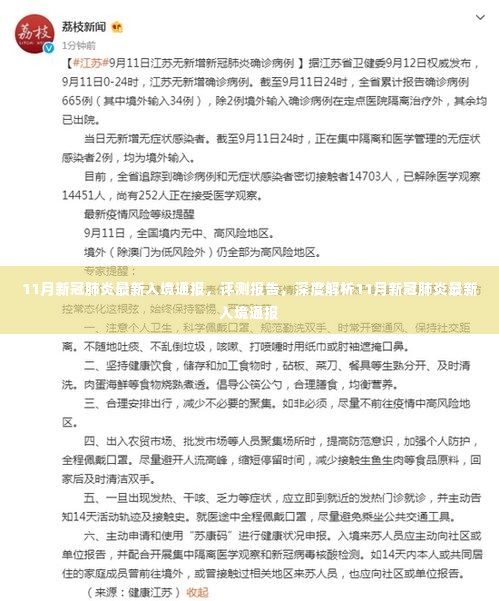 深度解析,最新入境新冠肺炎通报报告及评测分析(11月版)