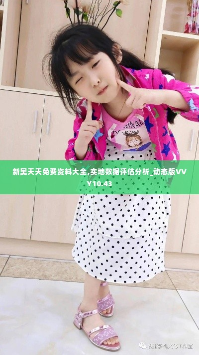 新奥天天免费资料大全,实地数据评估分析_动态版VVY10.43