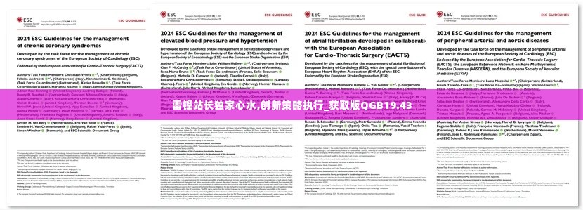 雷锋站长独家心水,创新策略执行_获取版QGB19.43