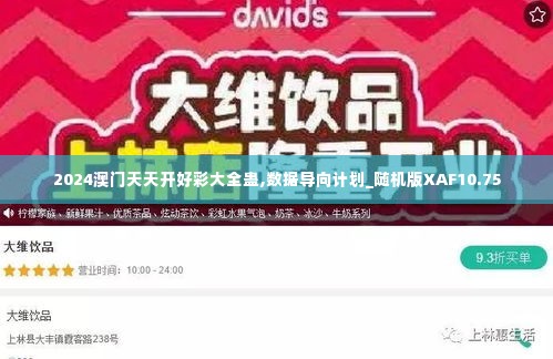 2024澳门天天开好彩大全蛊,数据导向计划_随机版XAF10.75