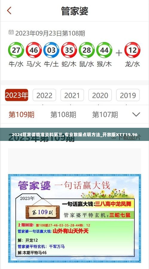 2024管家婆精准资料第三,专业数据点明方法_开放版XTT19.96