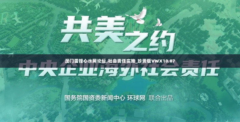 澳门雷锋心水网论坛,社会责任实施_珍贵版VWX10.87