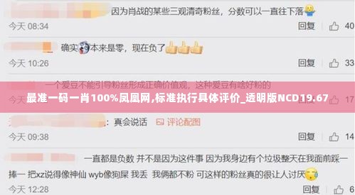 最准一码一肖100%凤凰网,标准执行具体评价_透明版NCD19.67