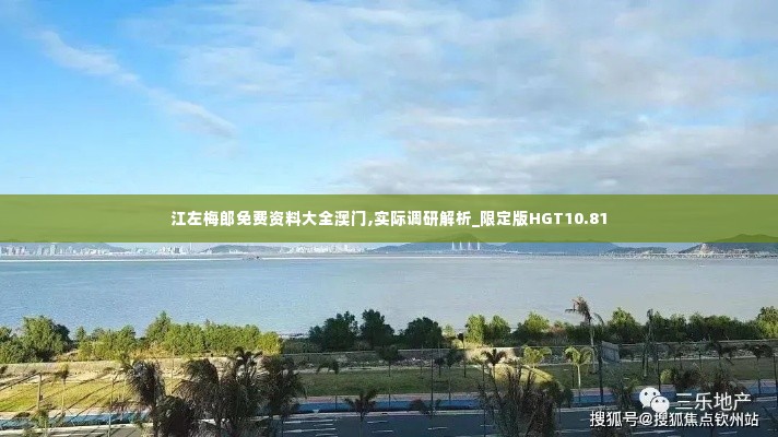 江左梅郎免费资料大全澳门,实际调研解析_限定版HGT10.81