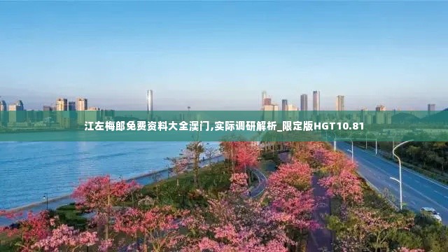 江左梅郎免费资料大全澳门,实际调研解析_限定版HGT10.81