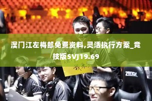 澳门江左梅郎免费资料,灵活执行方案_竞技版SVJ19.69