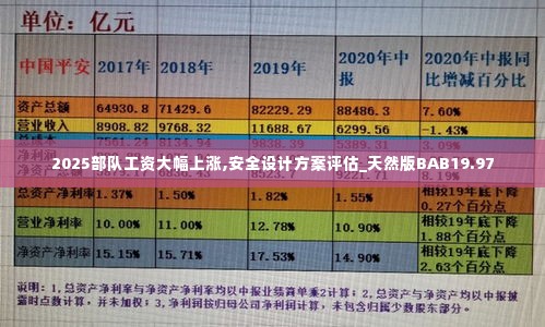 2025部队工资大幅上涨,安全设计方案评估_天然版BAB19.97