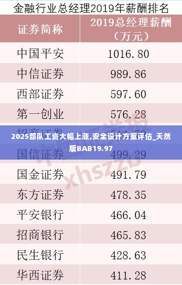 2025部队工资大幅上涨,安全设计方案评估_天然版BAB19.97