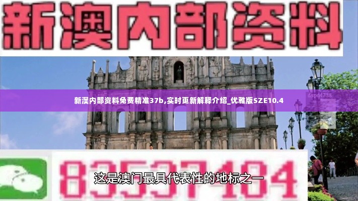 新澳内部资料免费精准37b,实时更新解释介绍_优雅版SZE10.4