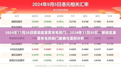揭秘移动流量薅羊毛热门策略与案例分析,聚焦2024年11月25日