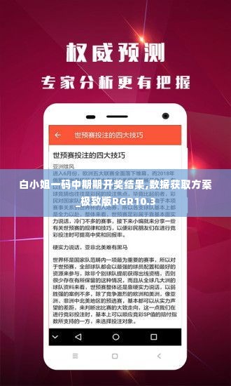 白小姐一码中期期开奖结果,数据获取方案_极致版RGR10.3