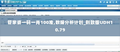 管家婆一码一肖100准,数据分析计划_别致版UDH10.79