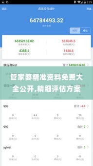管家婆精准资料免费大全公开,精细评估方案_自由版VPL19.47