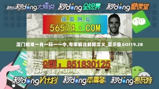 澳门精准一肖一码一一中,专家解说解释定义_显示版GOI19.28