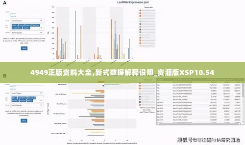 4949正版资料大全,新式数据解释设想_资源版XSP10.54