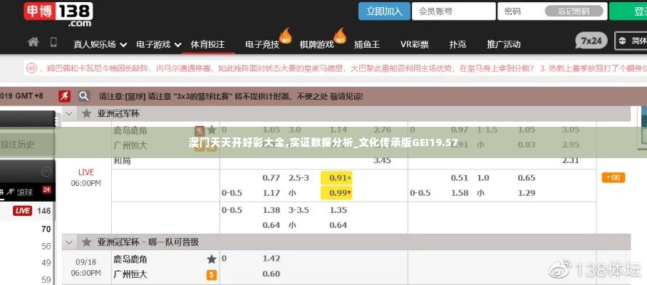澳门天天开好彩大全,实证数据分析_文化传承版GEI19.57