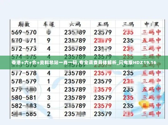 香港+六+合+资料总站一肖一码,专业调查具体解析_闪电版HDZ19.16