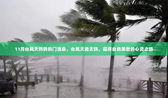 台风天骑天鸽,探寻自然美景的心灵之旅——天鸽台风热门消息揭秘