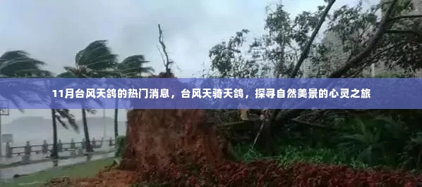 台风天骑天鸽,探寻自然美景的心灵之旅——天鸽台风热门消息揭秘