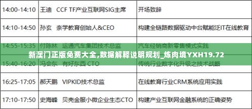 新澳门正版免费大全,数据解释说明规划_炼肉境YXH19.72