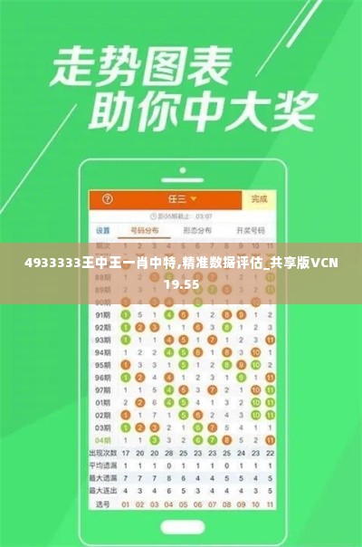 4933333王中王一肖中特,精准数据评估_共享版VCN19.55