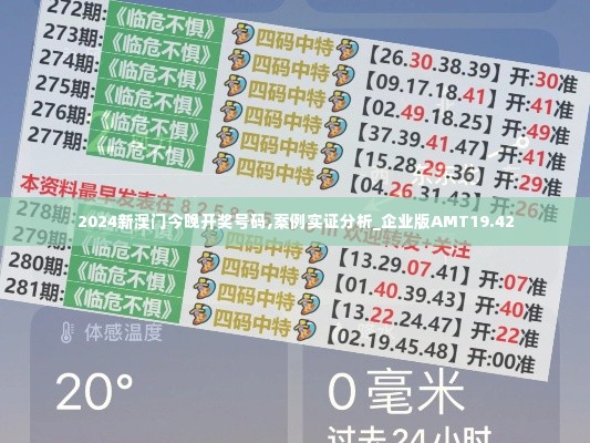 2024新澳门今晚开奖号码,案例实证分析_企业版AMT19.42