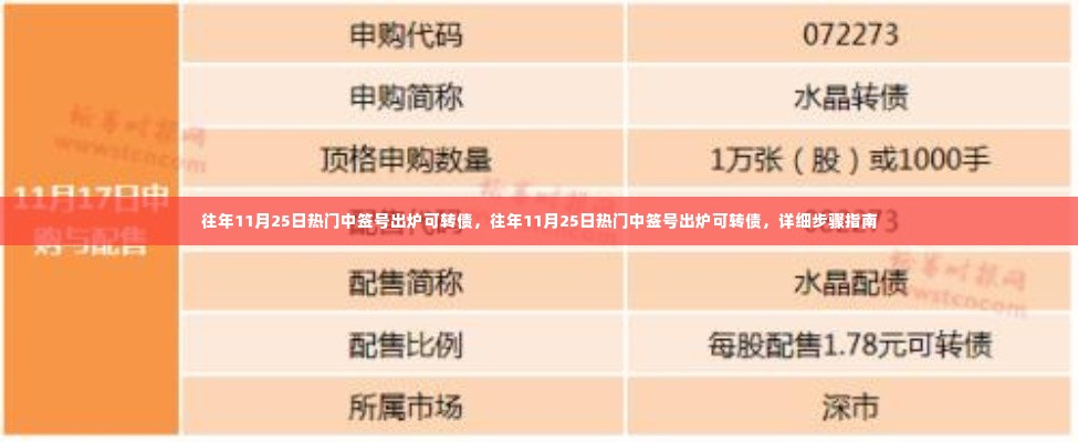 往年11月25日可转债热门中签号出炉,详细步骤指南与策略分析