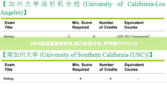 2024新澳最精准资料,执行验证计划_声学版ECY10.32