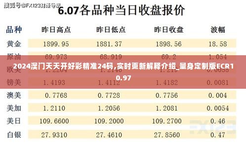 2024澳门天天开好彩精准24码,实时更新解释介绍_量身定制版ECR10.97