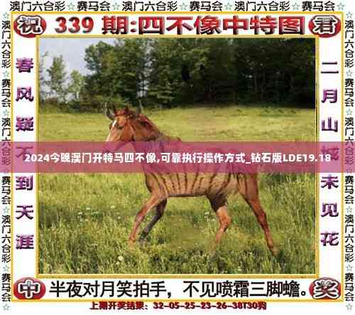 2024今晚澳门开特马四不像,可靠执行操作方式_钻石版LDE19.18