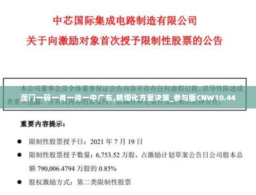 澳门一码一肖一待一中广东,精细化方案决策_参与版CNW10.44